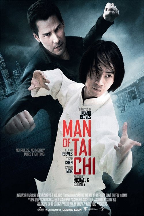 L'affiche originale du film Le maître du tai-chi en mandarin