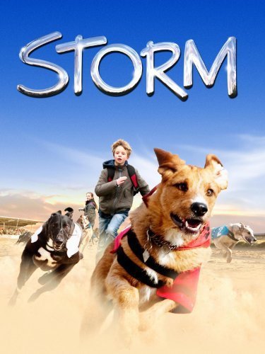 L'affiche originale du film Storm en danois
