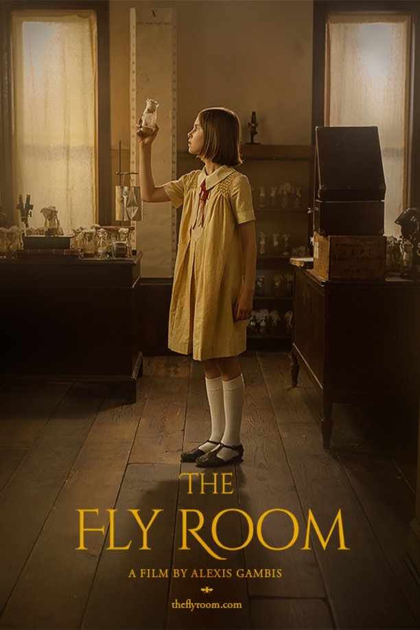 L'affiche du film The Fly Room