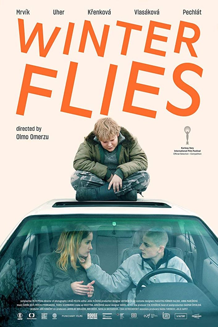Poster of the movie Winter Flies
