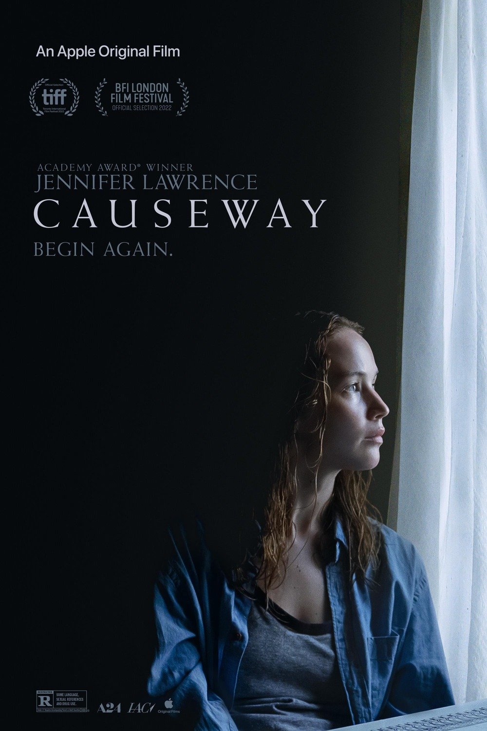 Poster of the movie Causeway