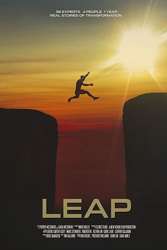 L'affiche du film Leap