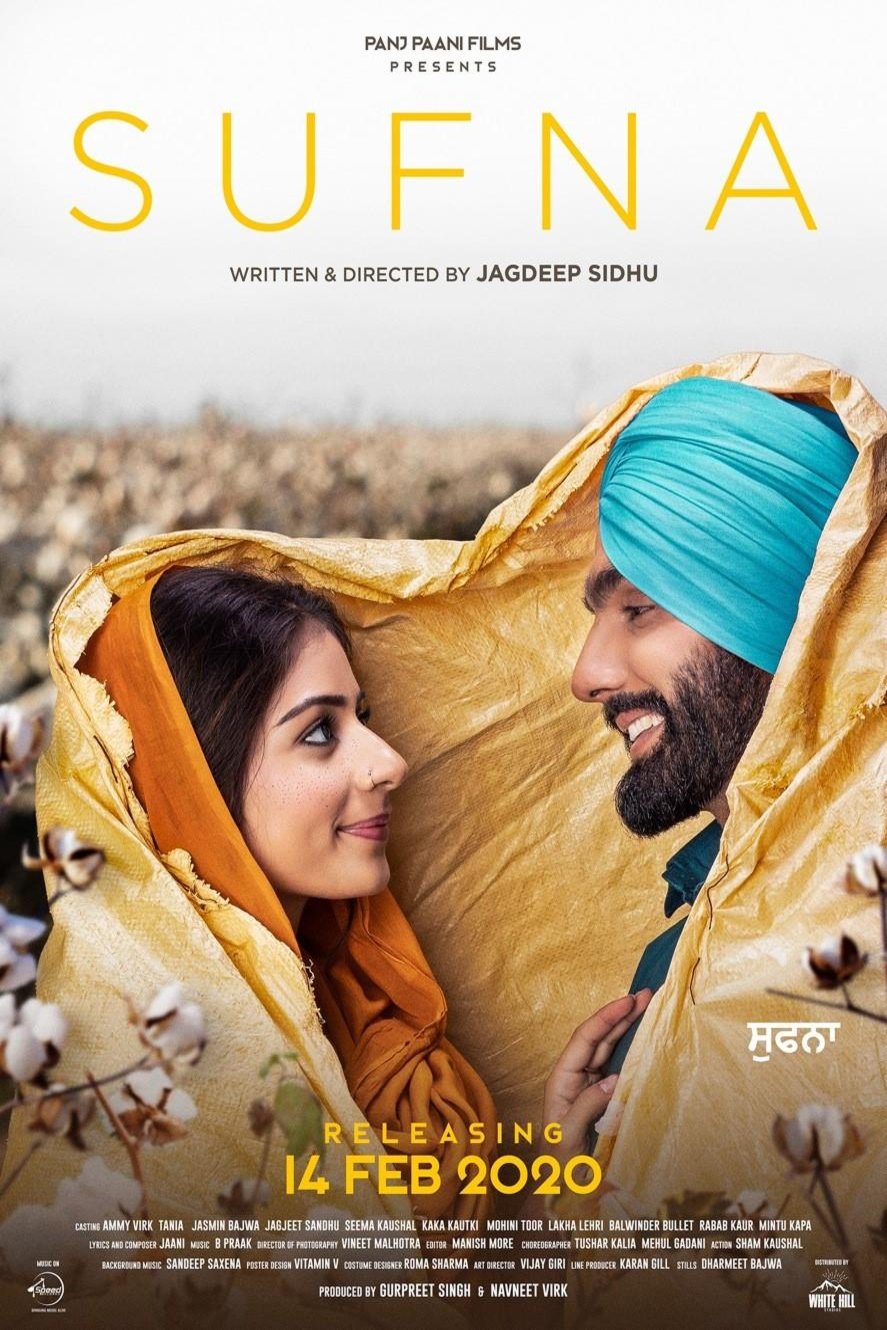 Punjabi poster of the movie Sufna