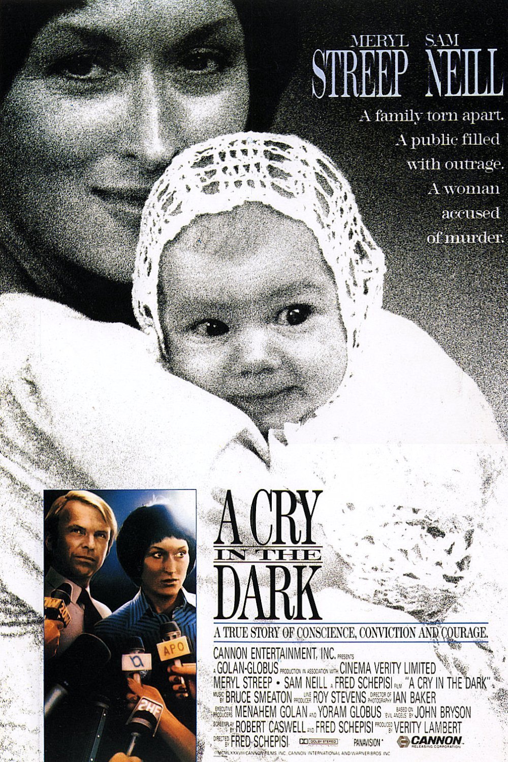 L'affiche du film A Cry in the Dark