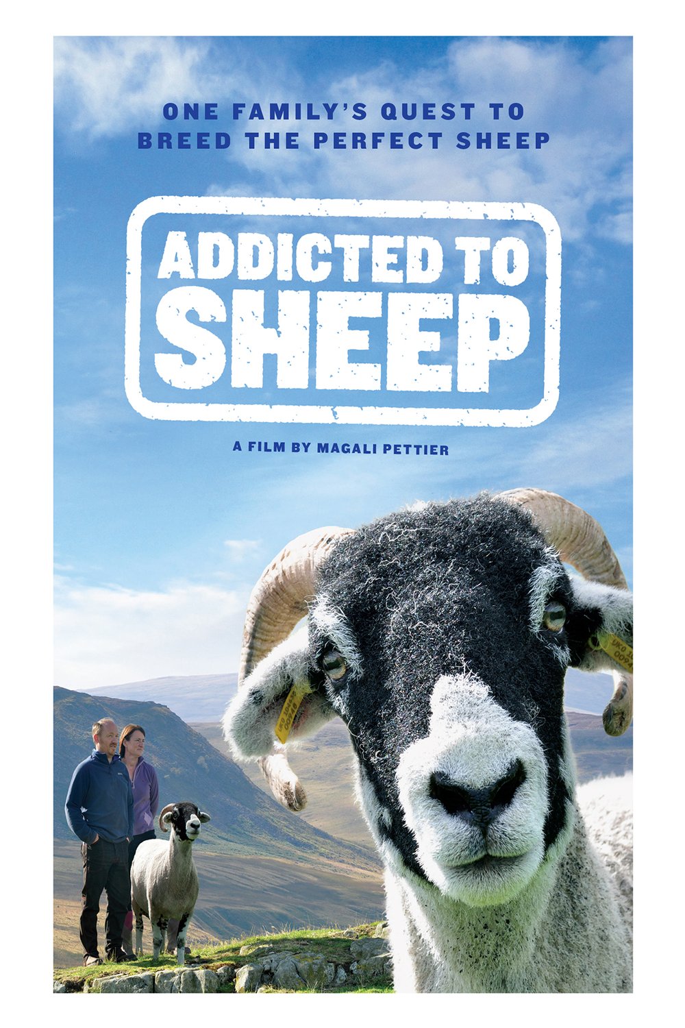 L'affiche du film Addicted to Sheep