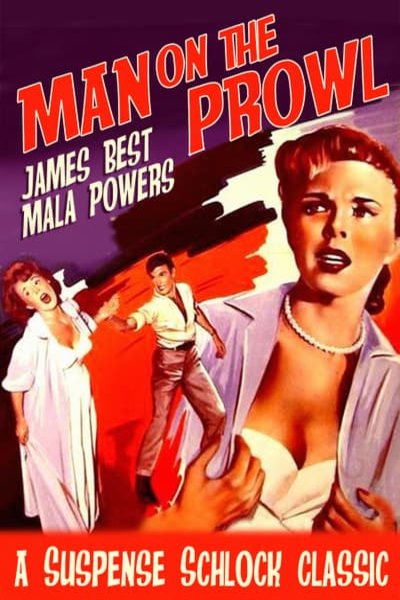 L'affiche du film Man on the Prowl