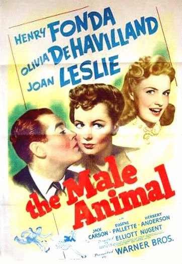 L'affiche du film The Male Animal