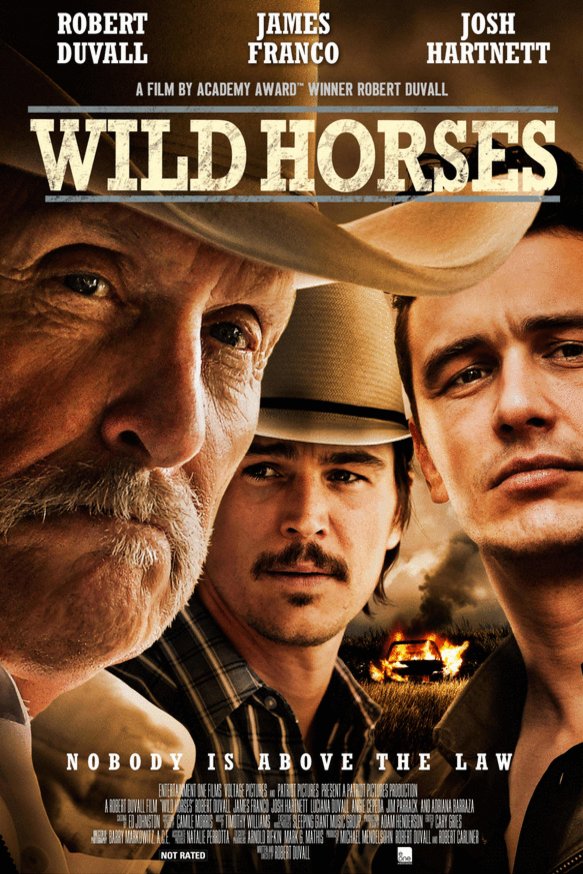L'affiche du film Wild Horses