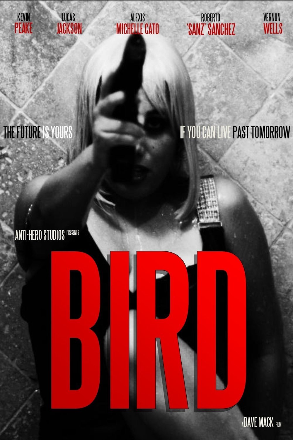 L'affiche du film Bird