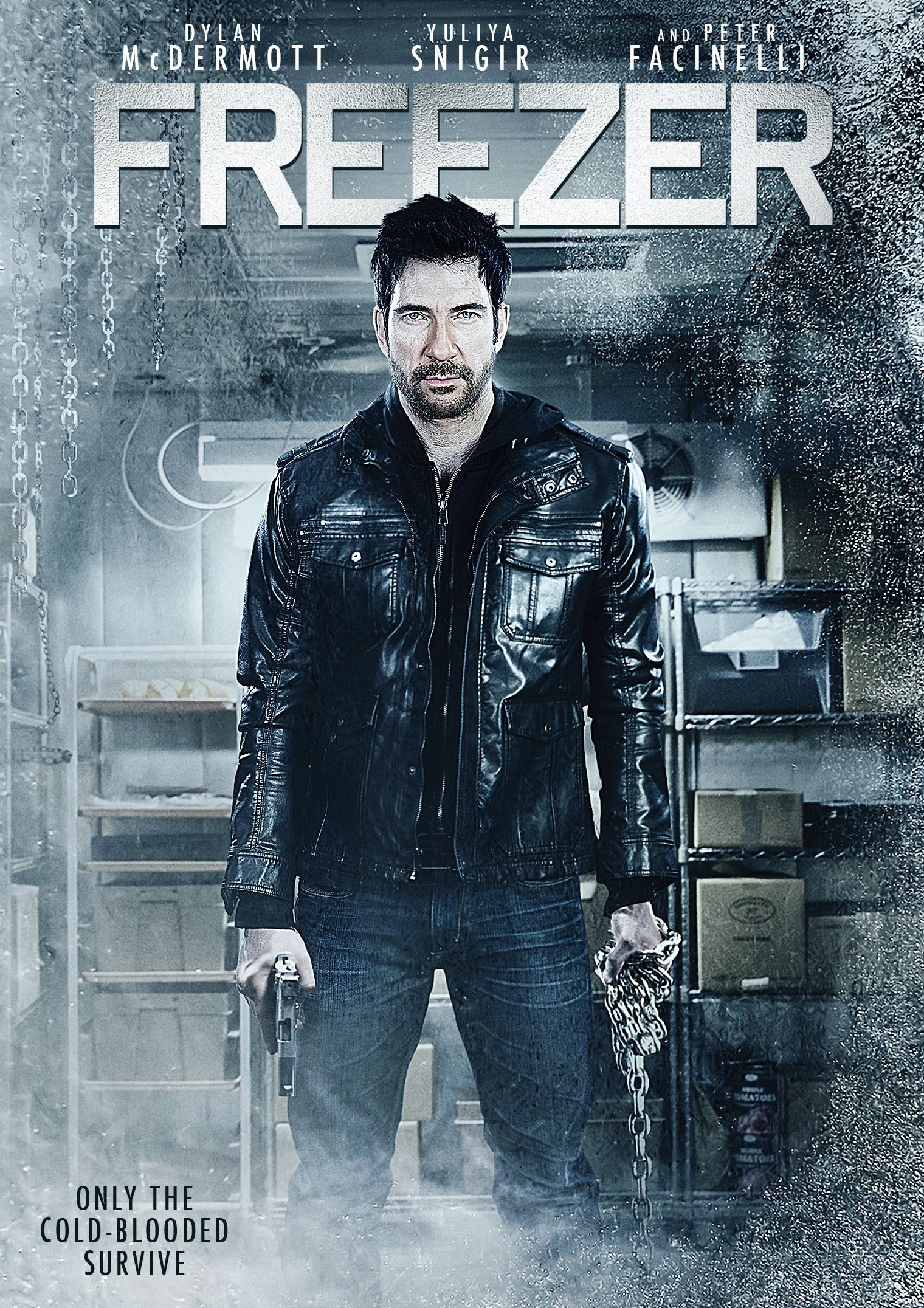 Poster of the movie Freezer