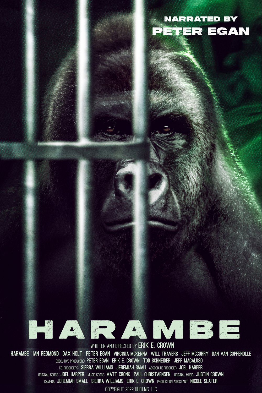 L'affiche du film Harambe