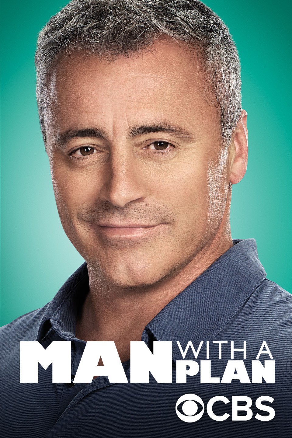 Poster of the movie Man with a Plan
