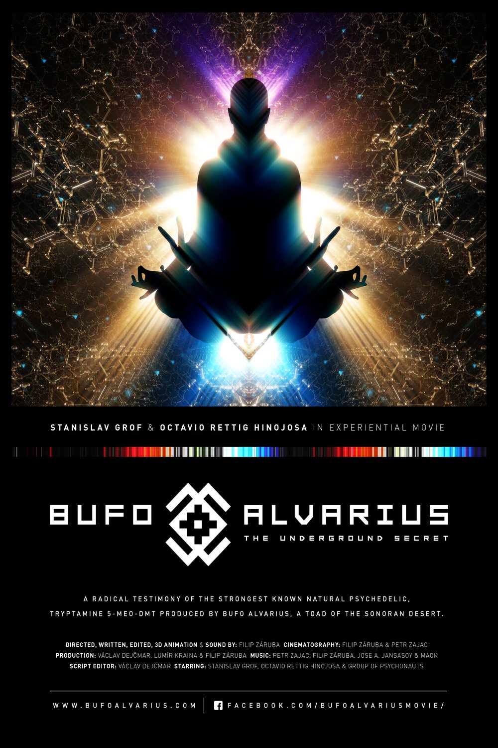 L'affiche du film Bufo Alvarius - The Underground Secret