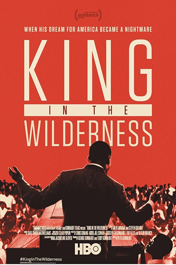 L'affiche du film King in the Wilderness