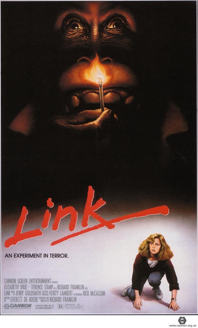 L'affiche du film Link