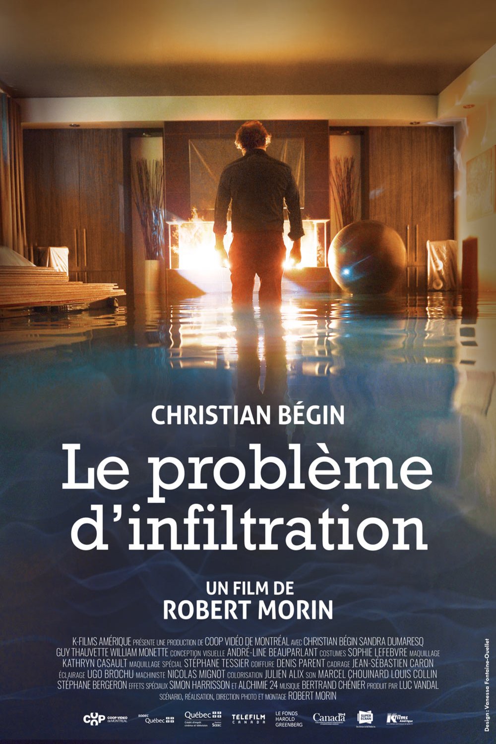 Poster of the movie Le Problème d'infiltration
