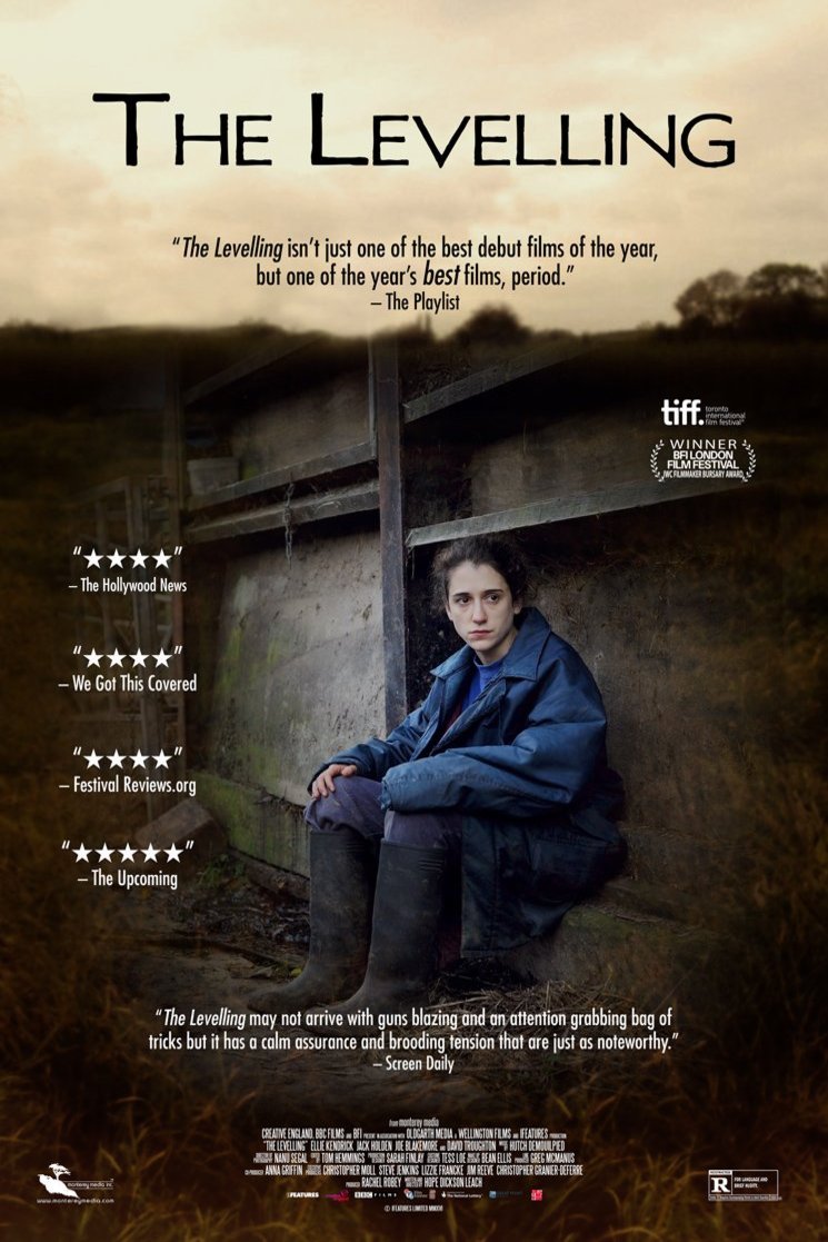 Poster of the movie The Levelling