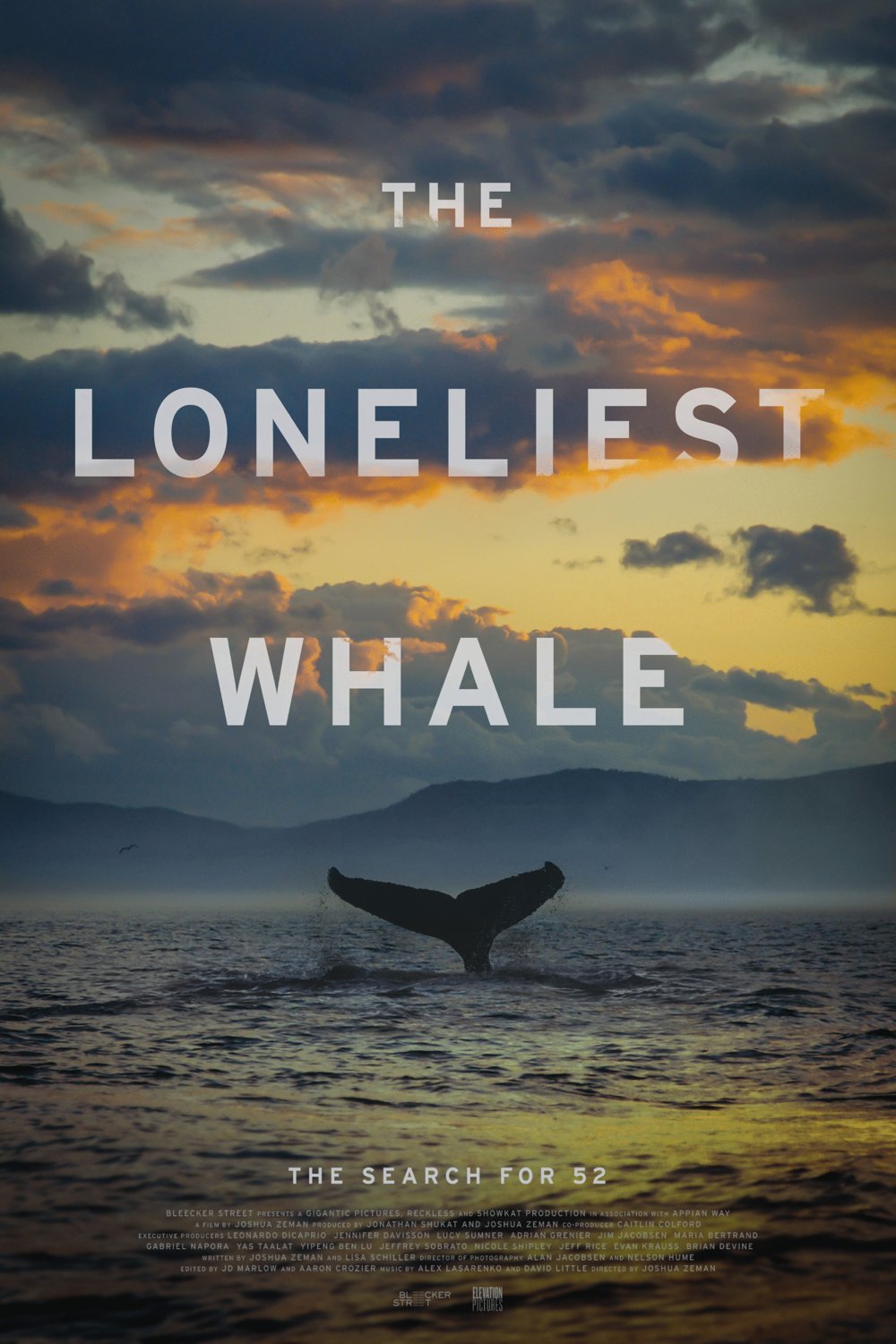 Poster of the movie The Loneliest Whale: The Search for 52
