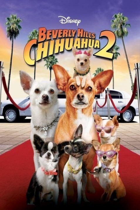 L'affiche du film Beverly Hills Chihuahua 2