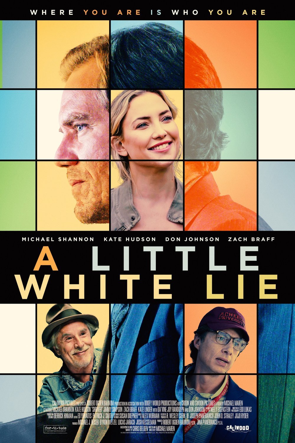 L'affiche du film A Little White Lie