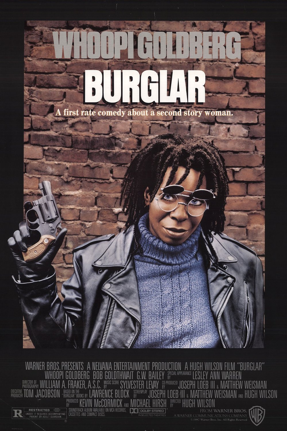 L'affiche du film Burglar