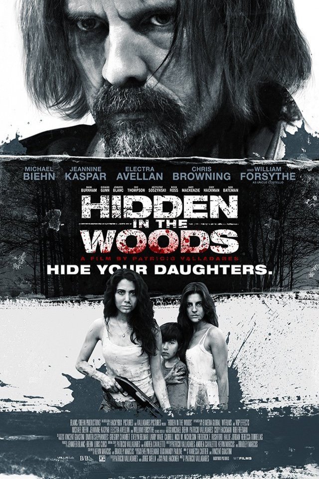 L'affiche du film Hidden in the Woods