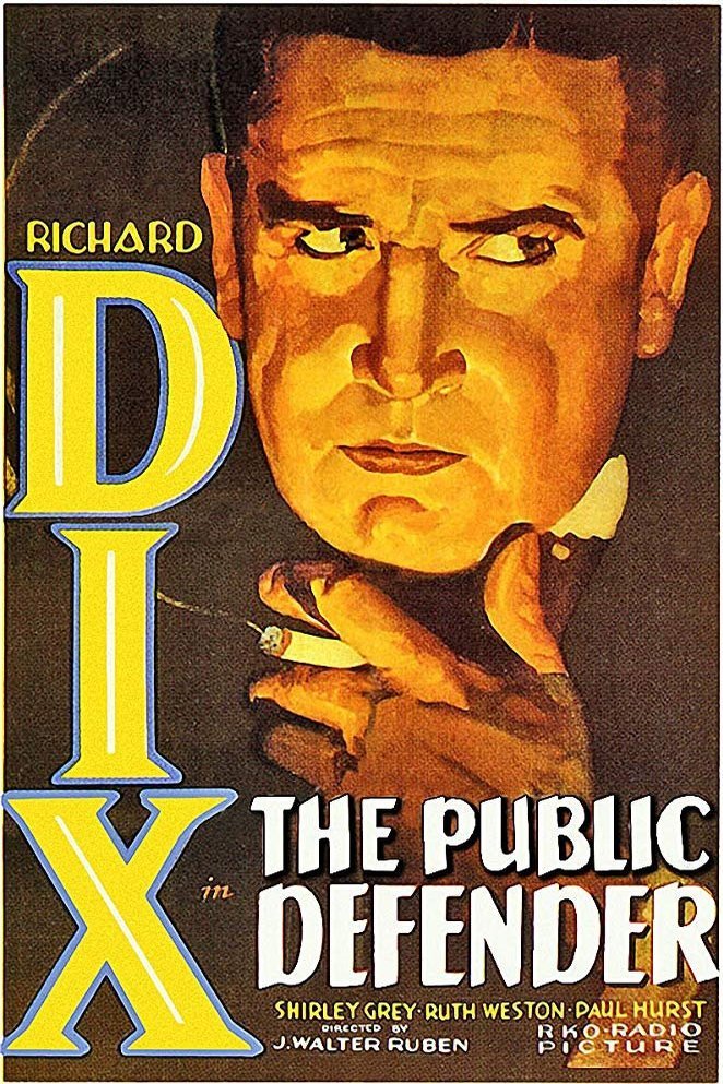 L'affiche du film The Public Defender