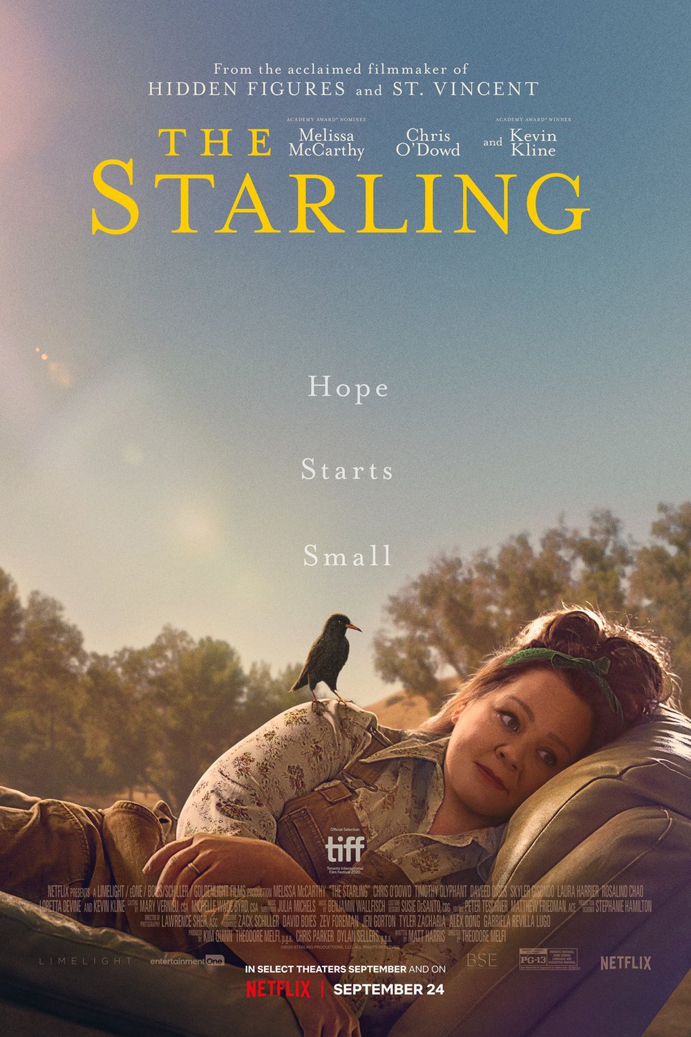 L'affiche du film The Starling