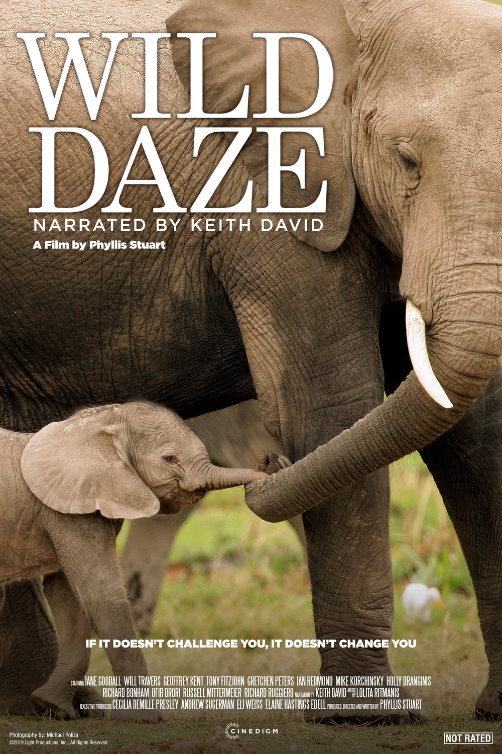 L'affiche du film Wild Daze