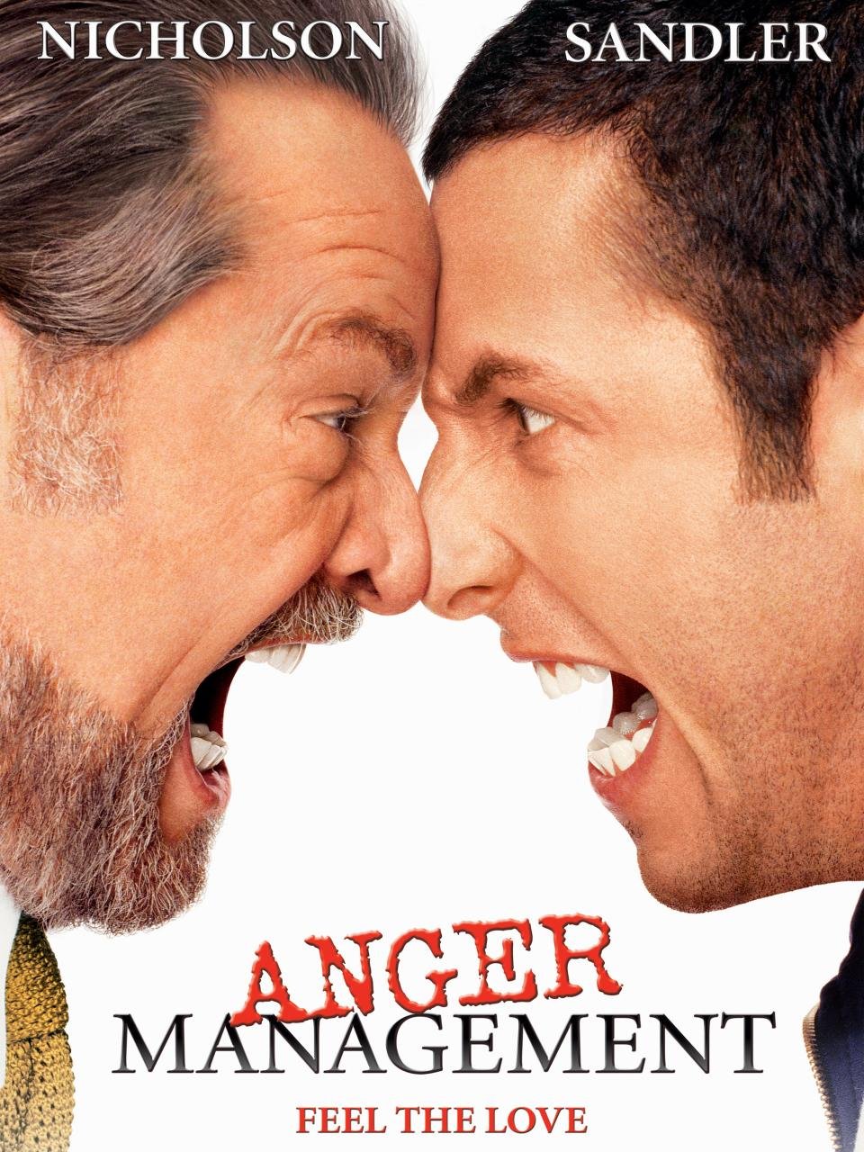 Poster of the movie Anger Management