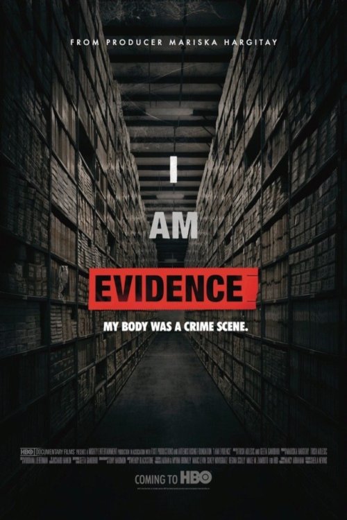 L'affiche du film I Am Evidence