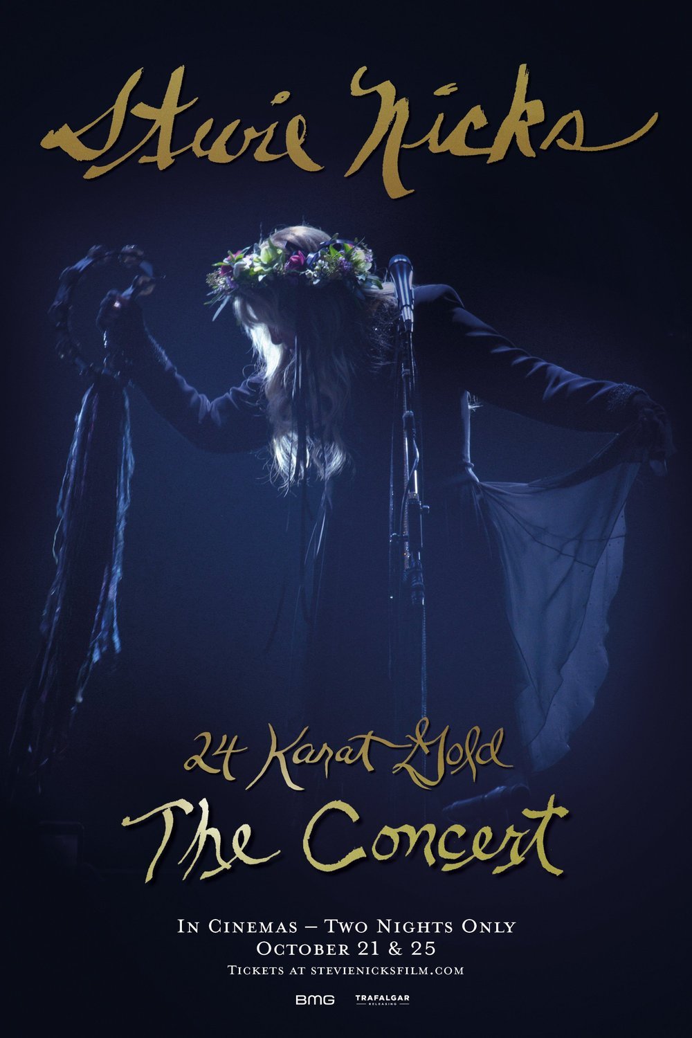 L'affiche du film Stevie Nicks: 24 Karat Gold - The Concert