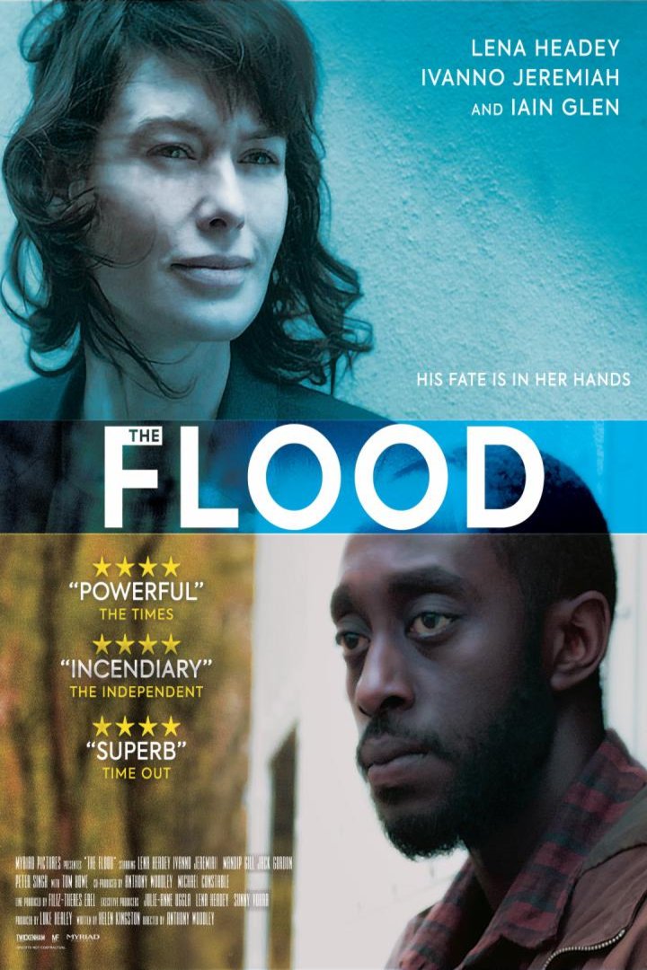 L'affiche du film The Flood