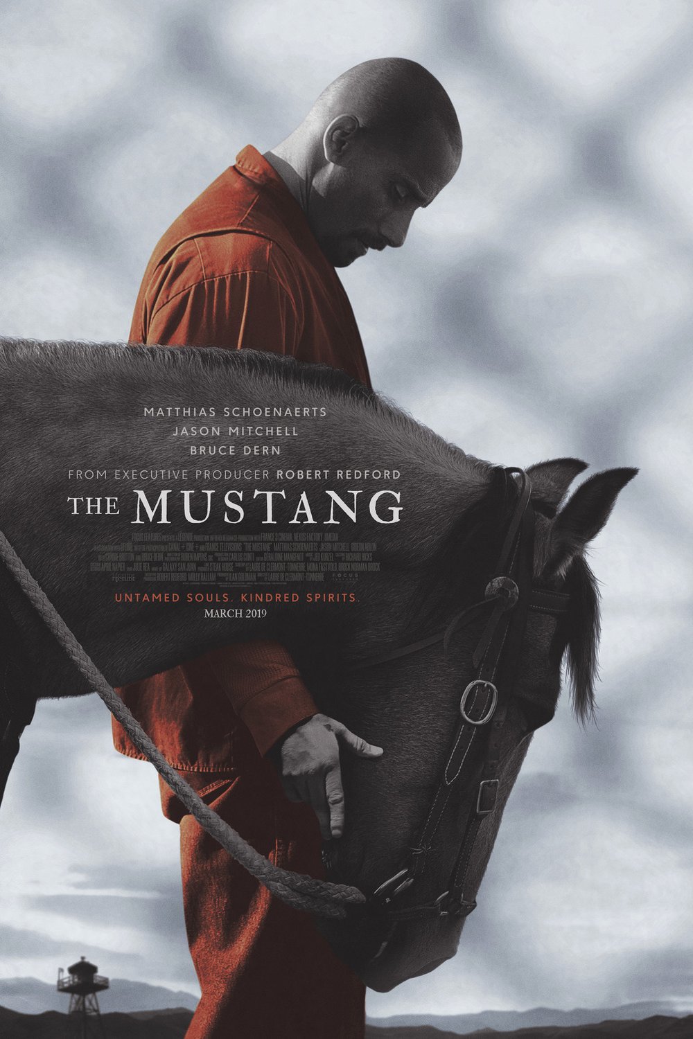 L'affiche du film The Mustang