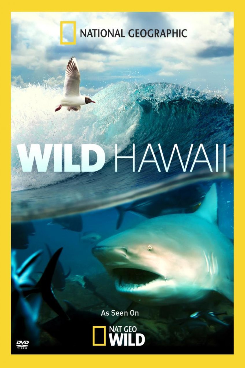 L'affiche du film Wild Hawaii