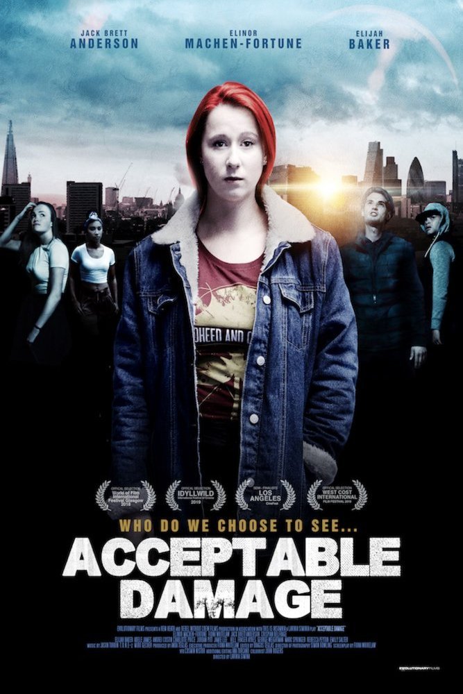 Poster of the movie Acceptable Damage