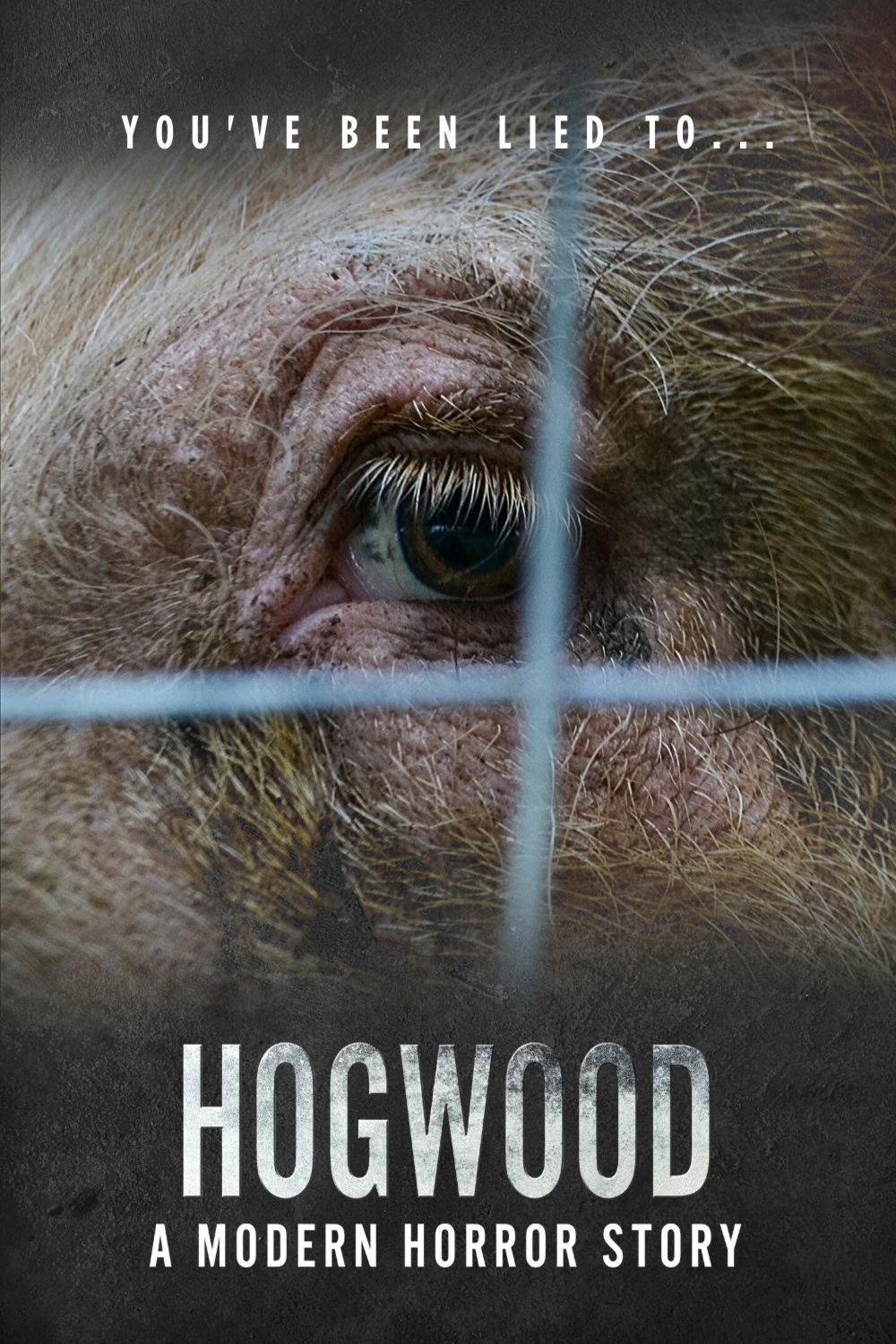 L'affiche du film Hogwood: A Modern Horror Story
