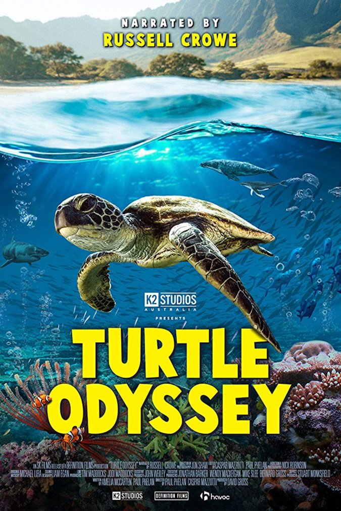 L'affiche du film Turtle Odyssey