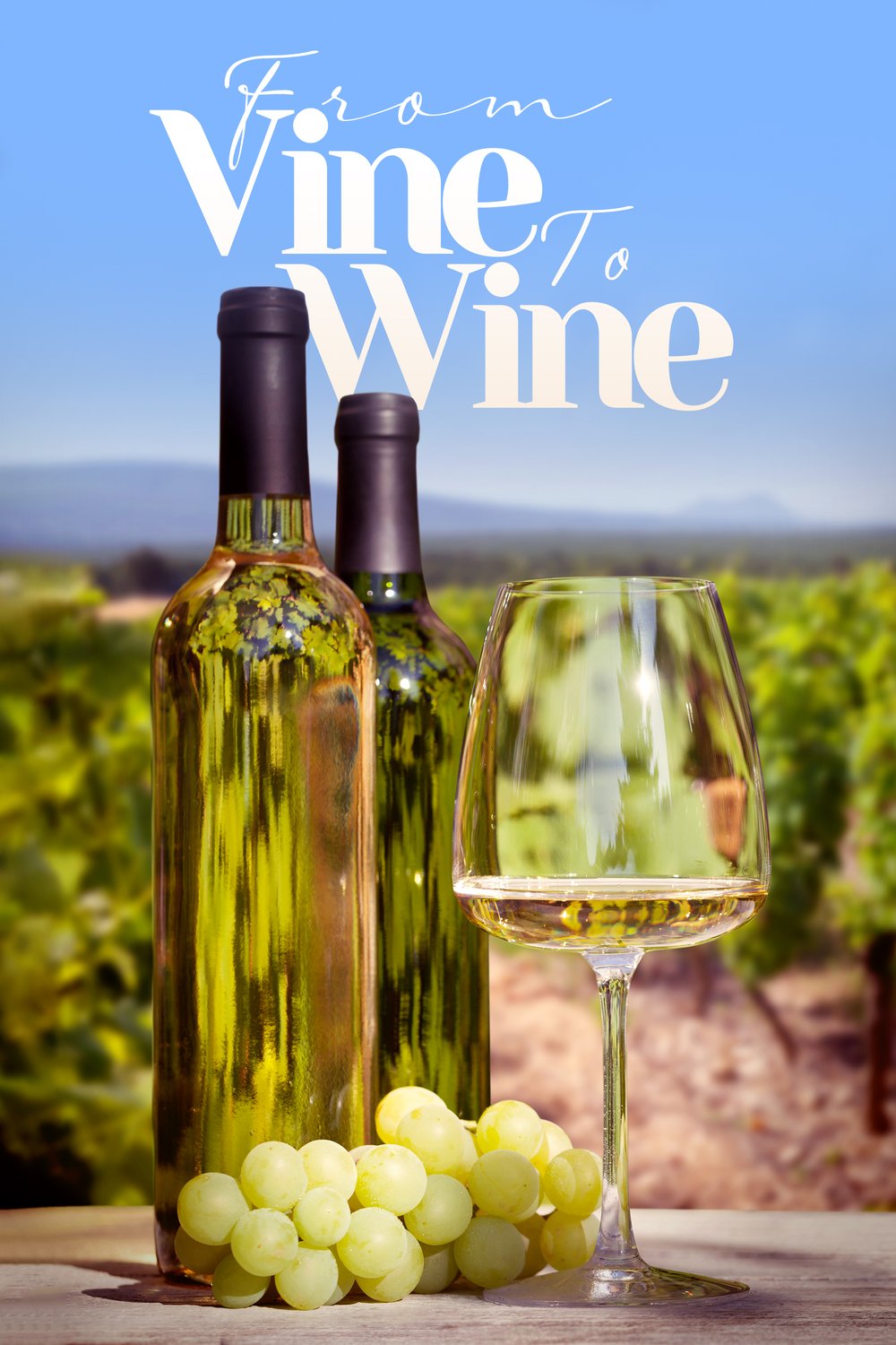 L'affiche du film From Vine to Wine