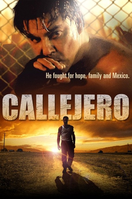L'affiche du film Callejero