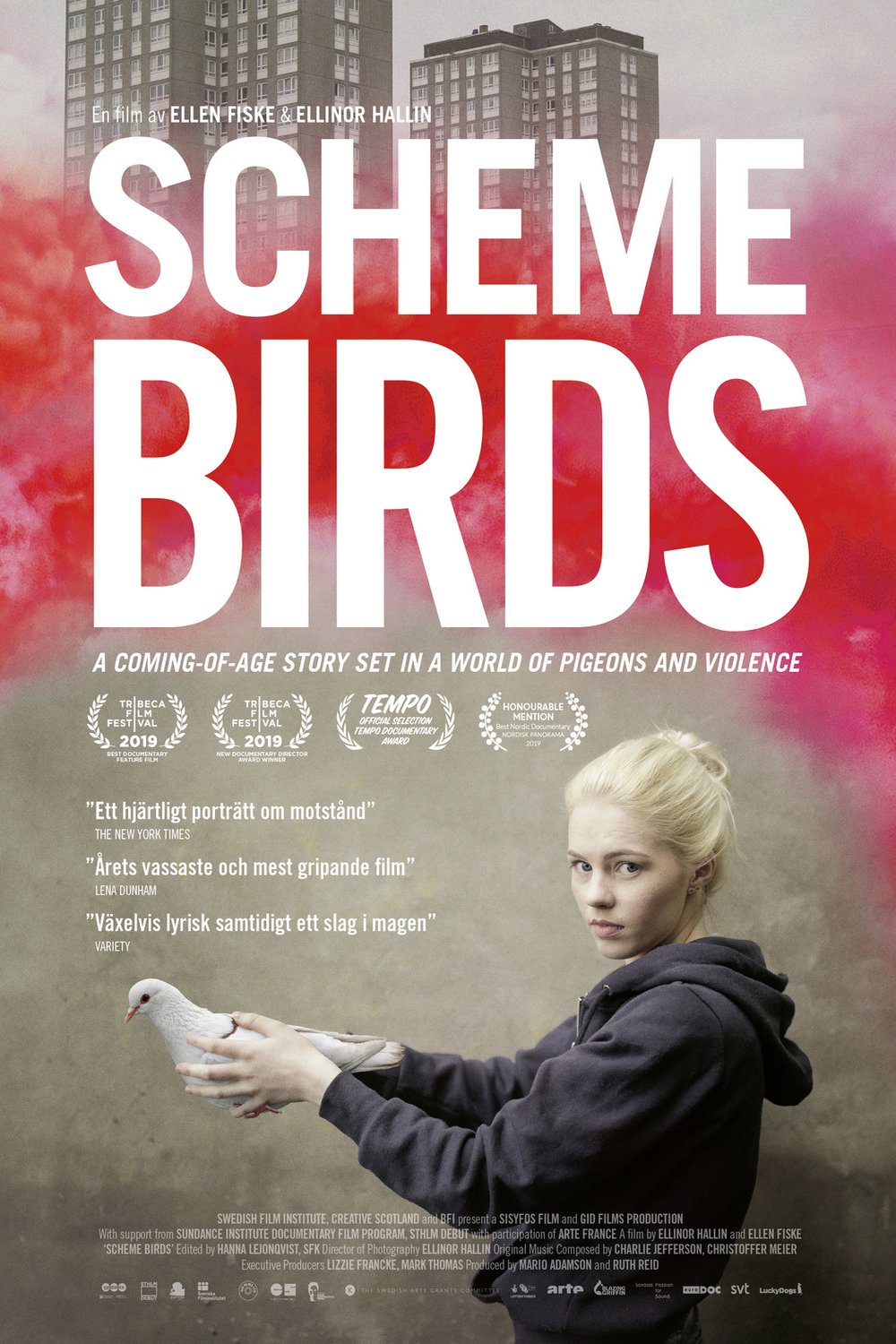 L'affiche du film Scheme Birds