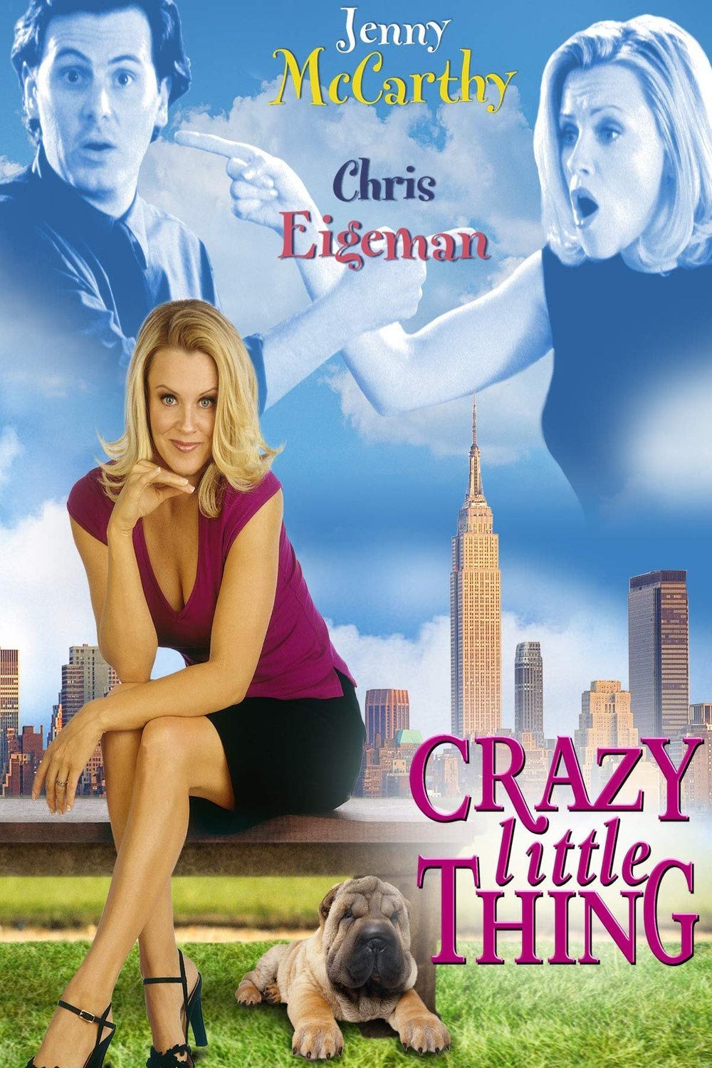 L'affiche du film Crazy Little Thing