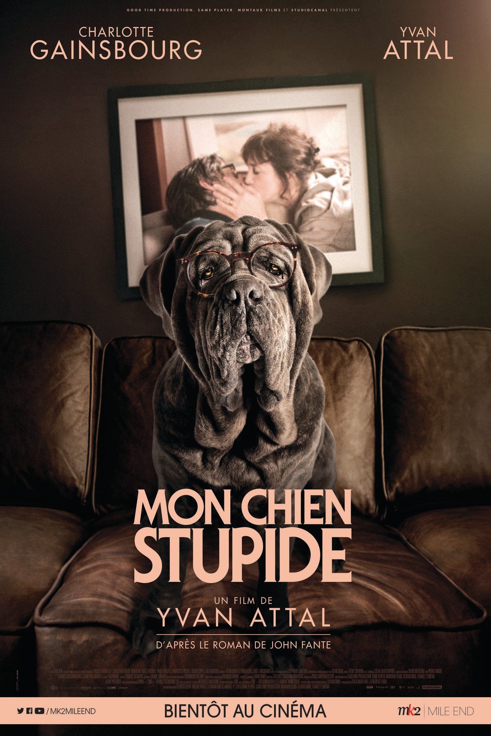 L'affiche du film Mon chien Stupide