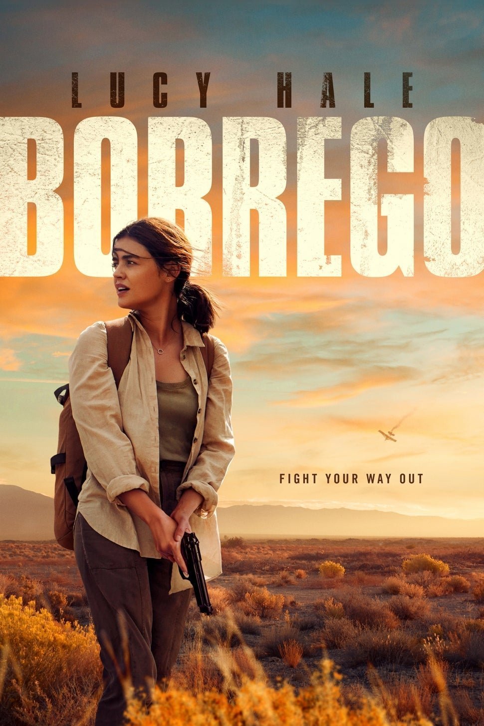 L'affiche du film Borrego