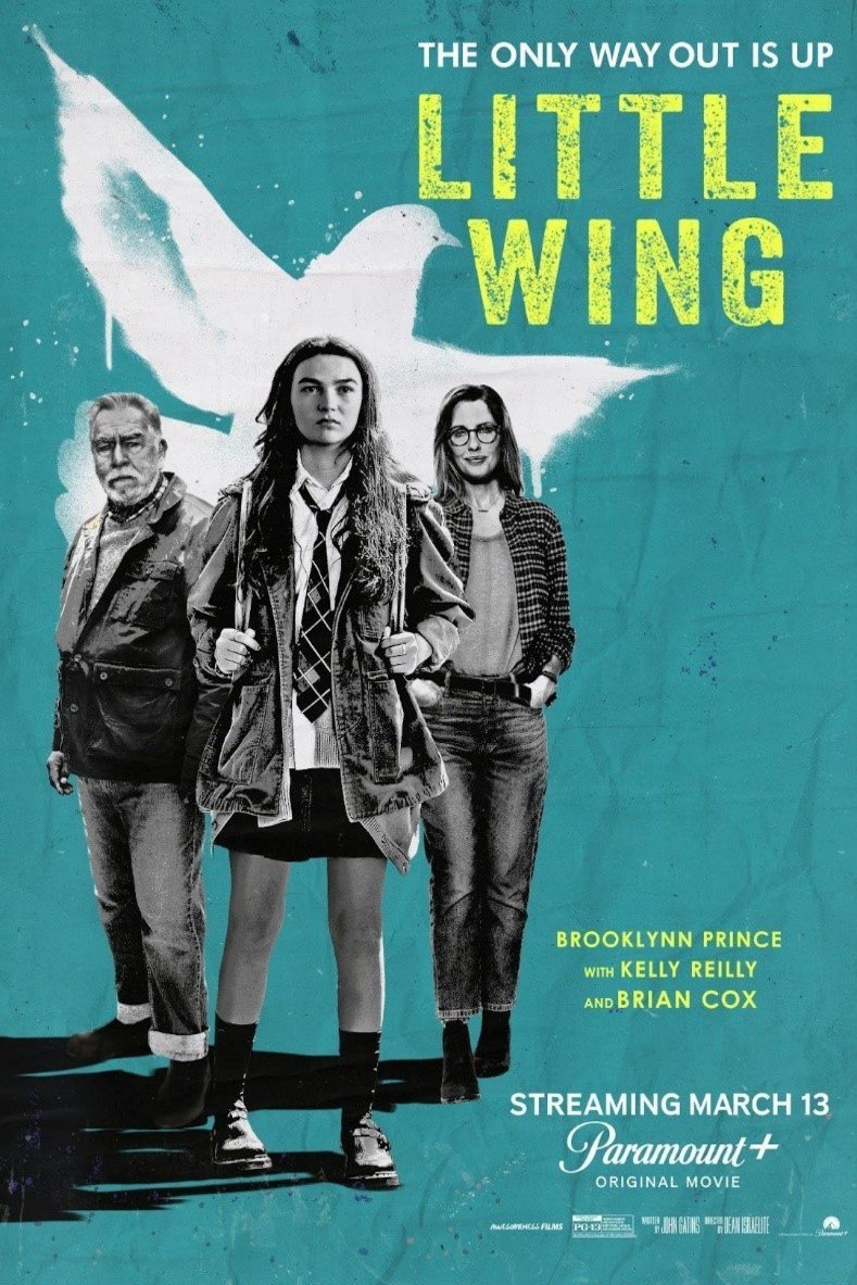 L'affiche du film Little Wing