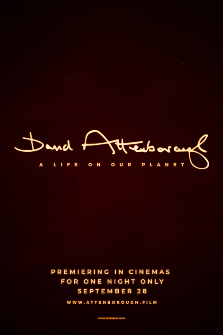 L'affiche du film David Attenborough: A Life on Our Planet