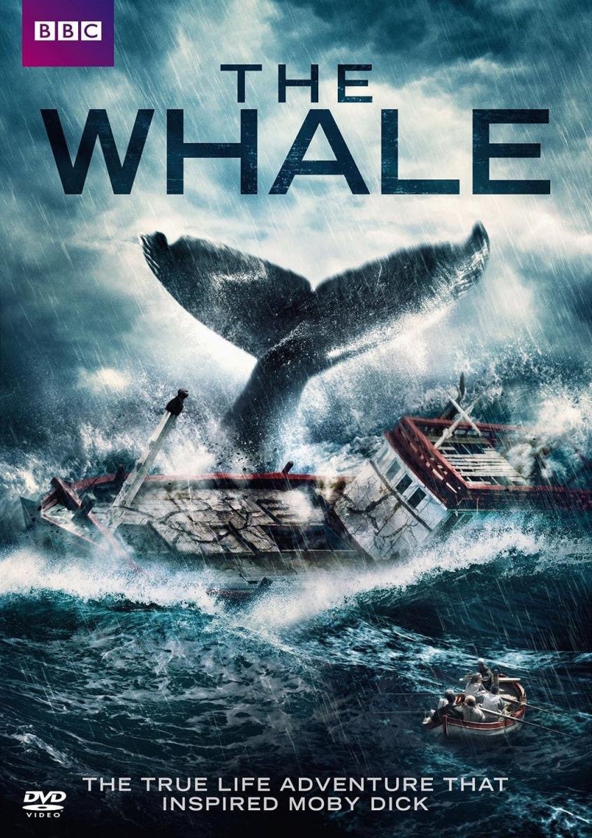 L'affiche du film The Whale