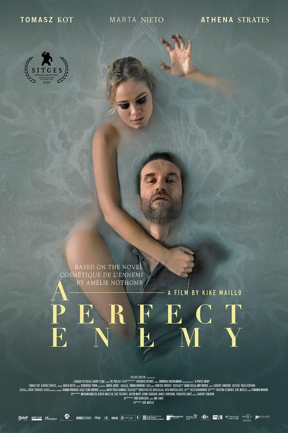 L'affiche du film A Perfect Enemy