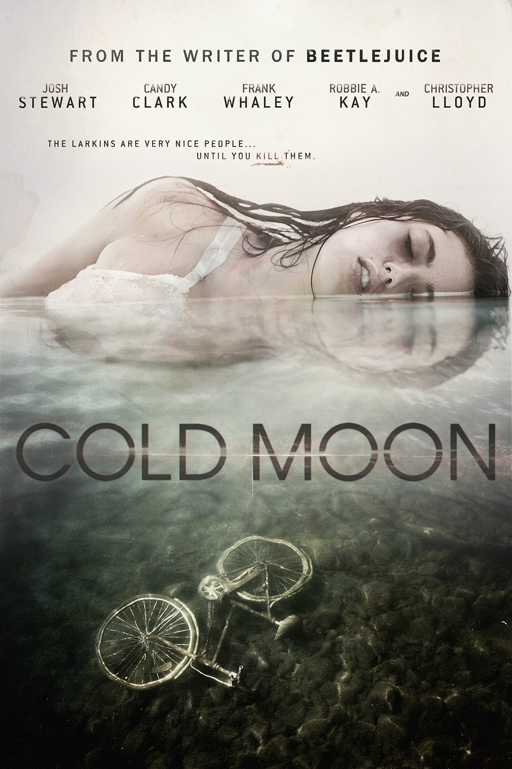 L'affiche du film Cold Moon