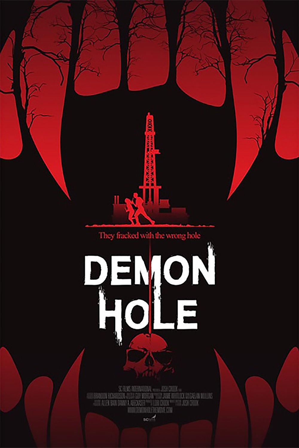 L'affiche du film Demon Hole